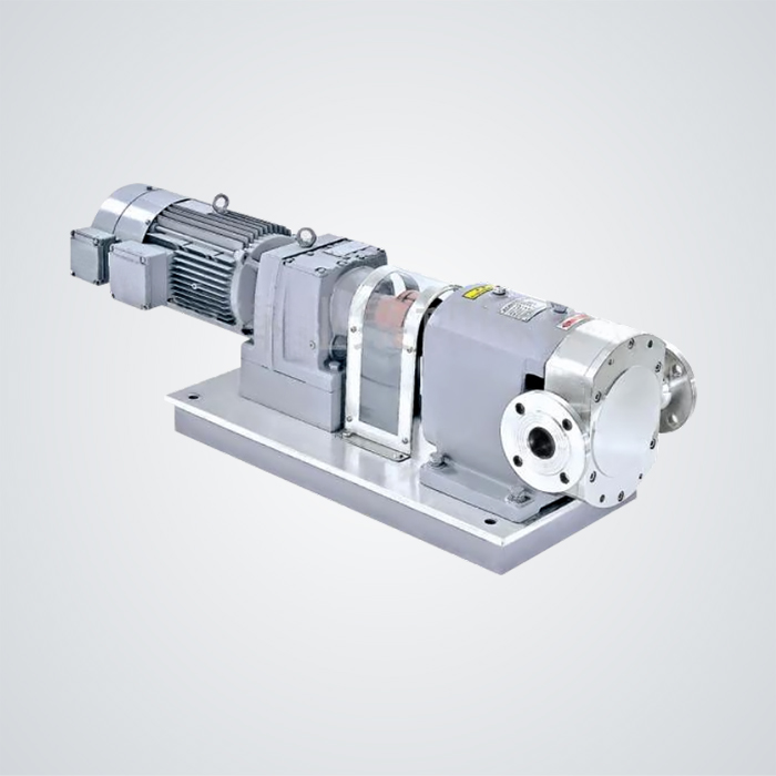 Cam rotor pump - 上海瑞思顿机械有限公司